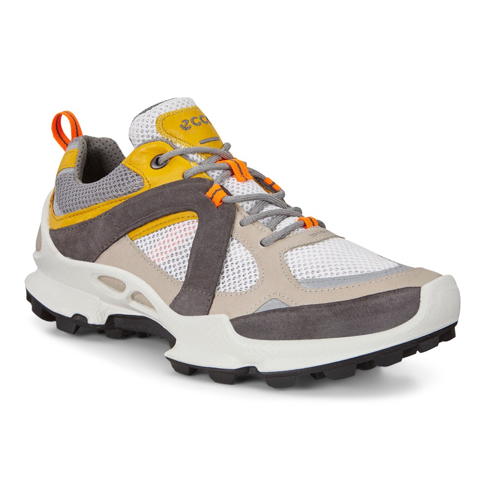 Mens Hiking Shoes - ECCO Biom C-Trail Low - Multicolor - 6042HMVAY